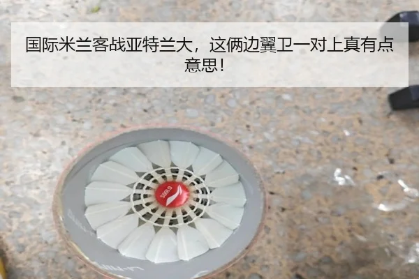guo-ji-mi-lan-ke-zhan-ya-te-lan-da-zhe-lia-bian-yi-wei-yi-dui-shang-zhen-you-dian-yi-si-2-327.jpg