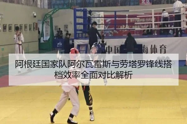 阿根廷国家队阿尔瓦雷斯与劳塔罗锋线搭档效率全面对比解析