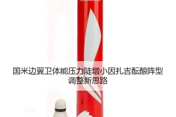 国米边翼卫体能压力陡增小因扎吉酝酿阵型调整新思路
